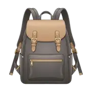 School backpack
